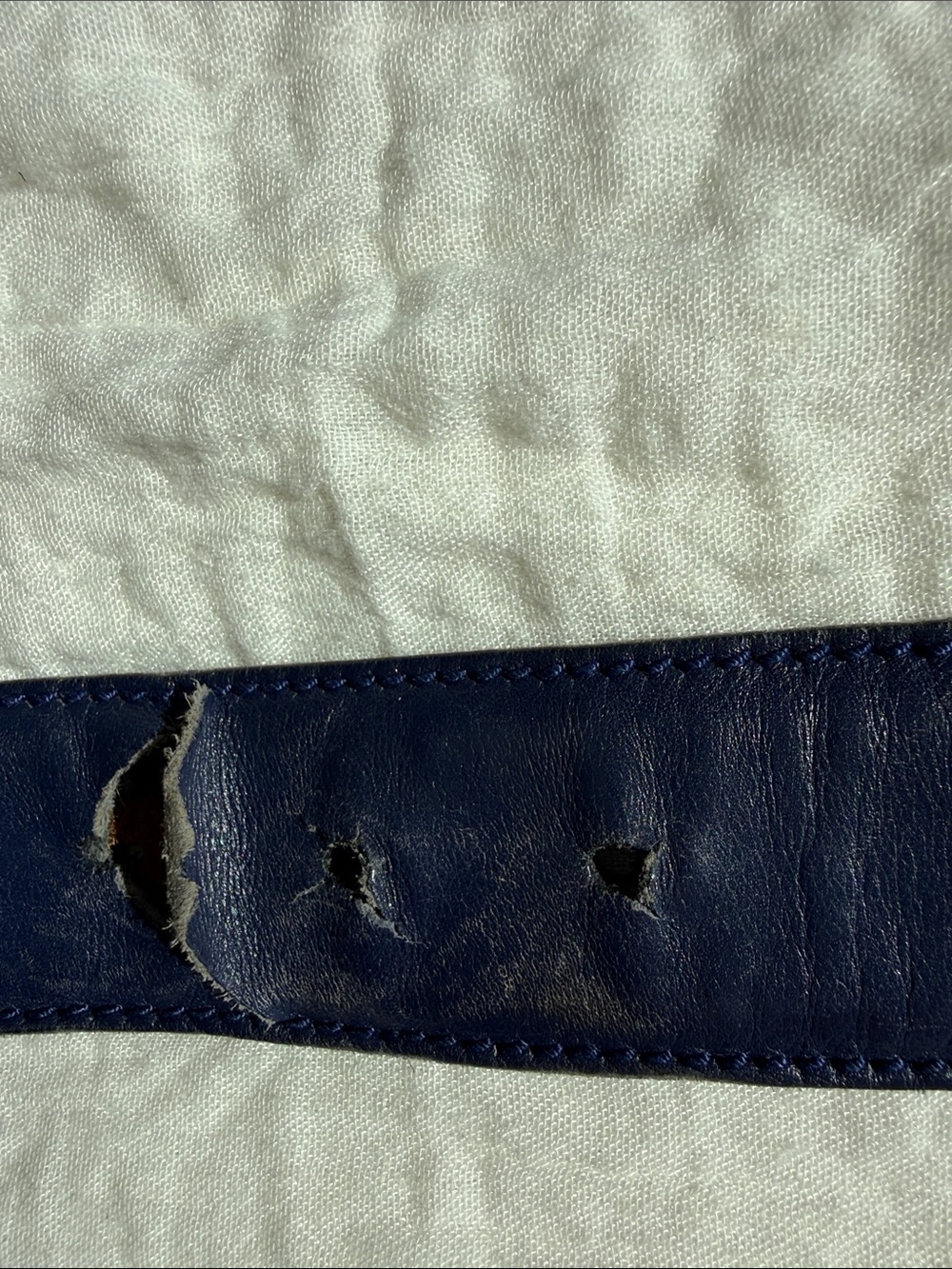 Gucci Navy Web Belt with Silver Double G Buckle - Picture 6 of 12